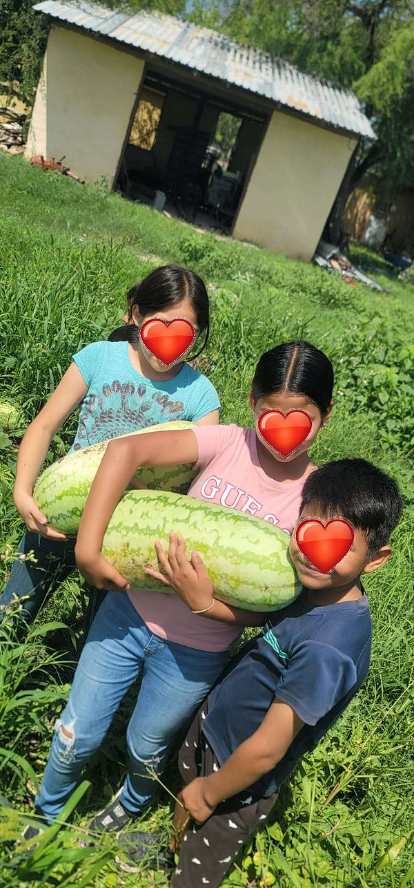 deidentified watermelon.png