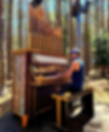 Anthony J. Nowell performing in the woods of Electric Forest (2021).