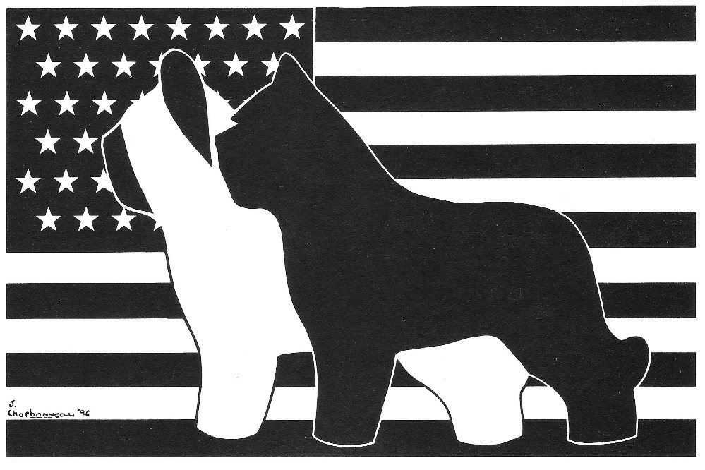 Briard Club of America logo
