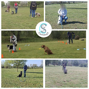 b41a88f9-1e24-453b-84b1-1723a9a37ee0 (1).jfif