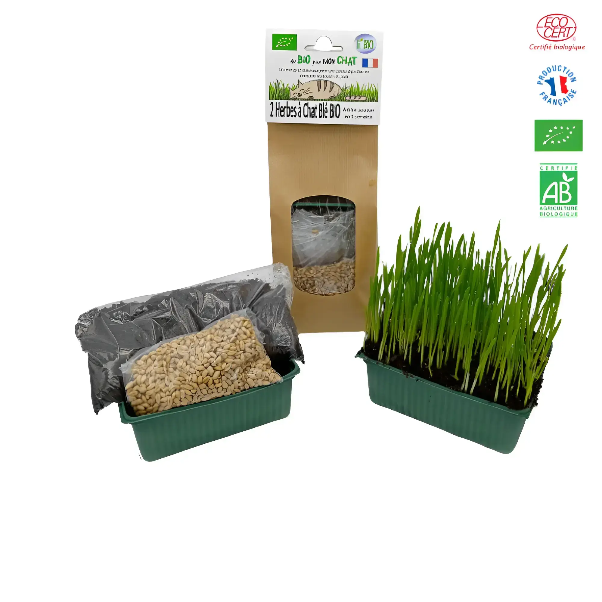 Kit herbe à chat blé bio prêt à semer - 🇫🇷 Made in France