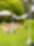 Thumbnail: LAWN GAMES PACKAGE