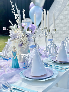 frozen kids picnic birthday party melbourne