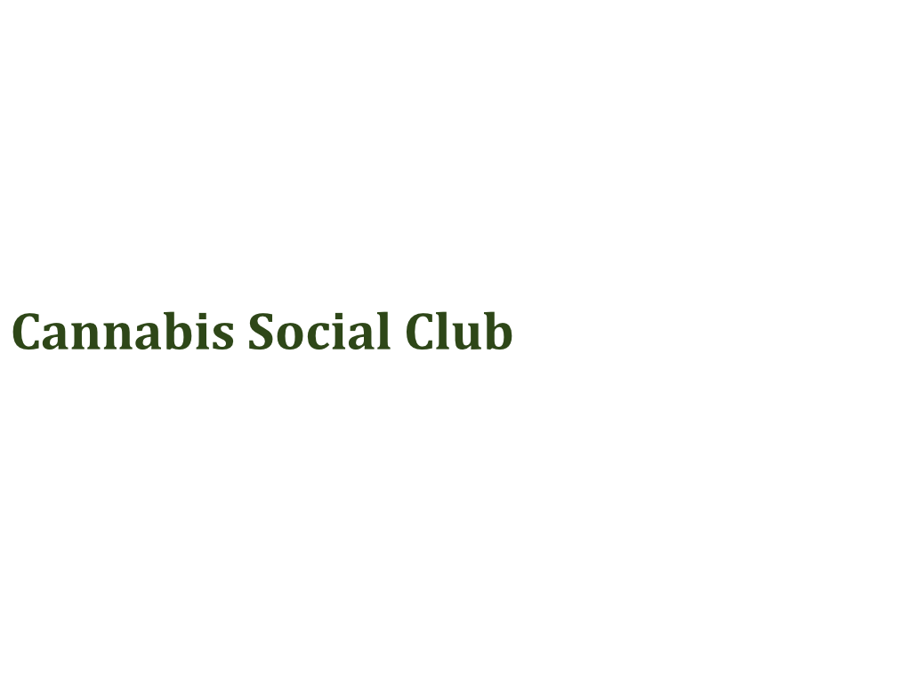 Logo CSC Nur Name horizontal vektorisiert.png