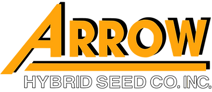 Arrow Logo White Bottom BMP.png