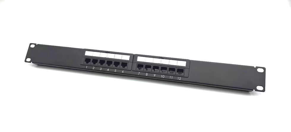 12 Port Modular Patch Panel