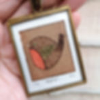 Thumbnail: Robin