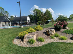 Pool Corner Landscape