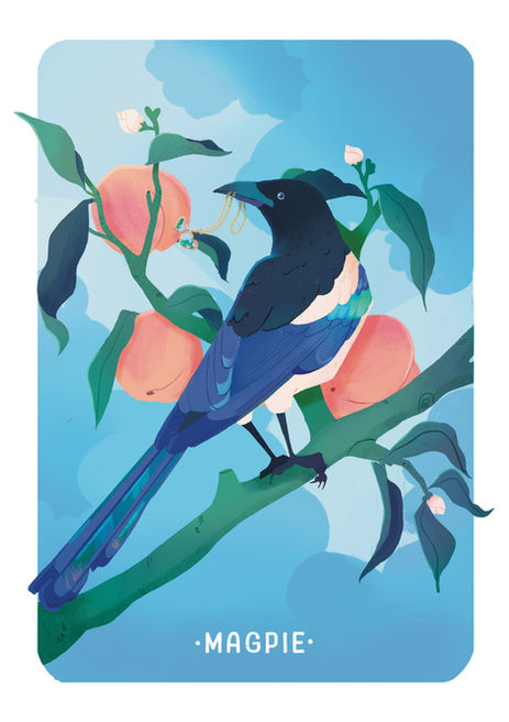 magpie sat in a peach tree illustration colourful illustration