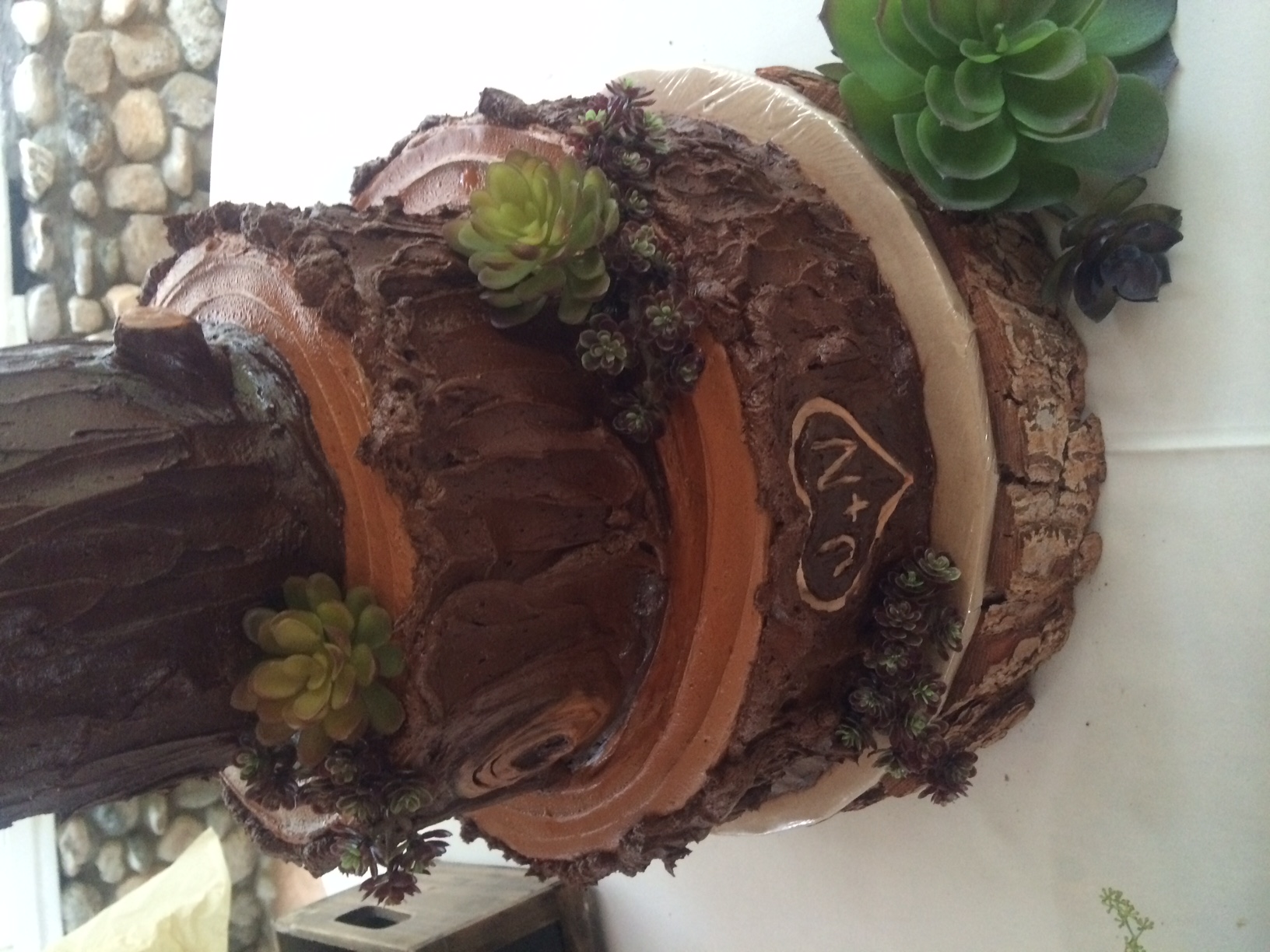 Tree Stump Wedding 1 of 2