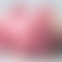 Understanding How to Fund Autism & Developmental Disability Services in the Mahoning Valley