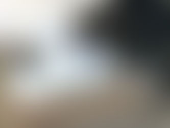 Boots - a large cat with brown and black patterns, a white bely and paws.