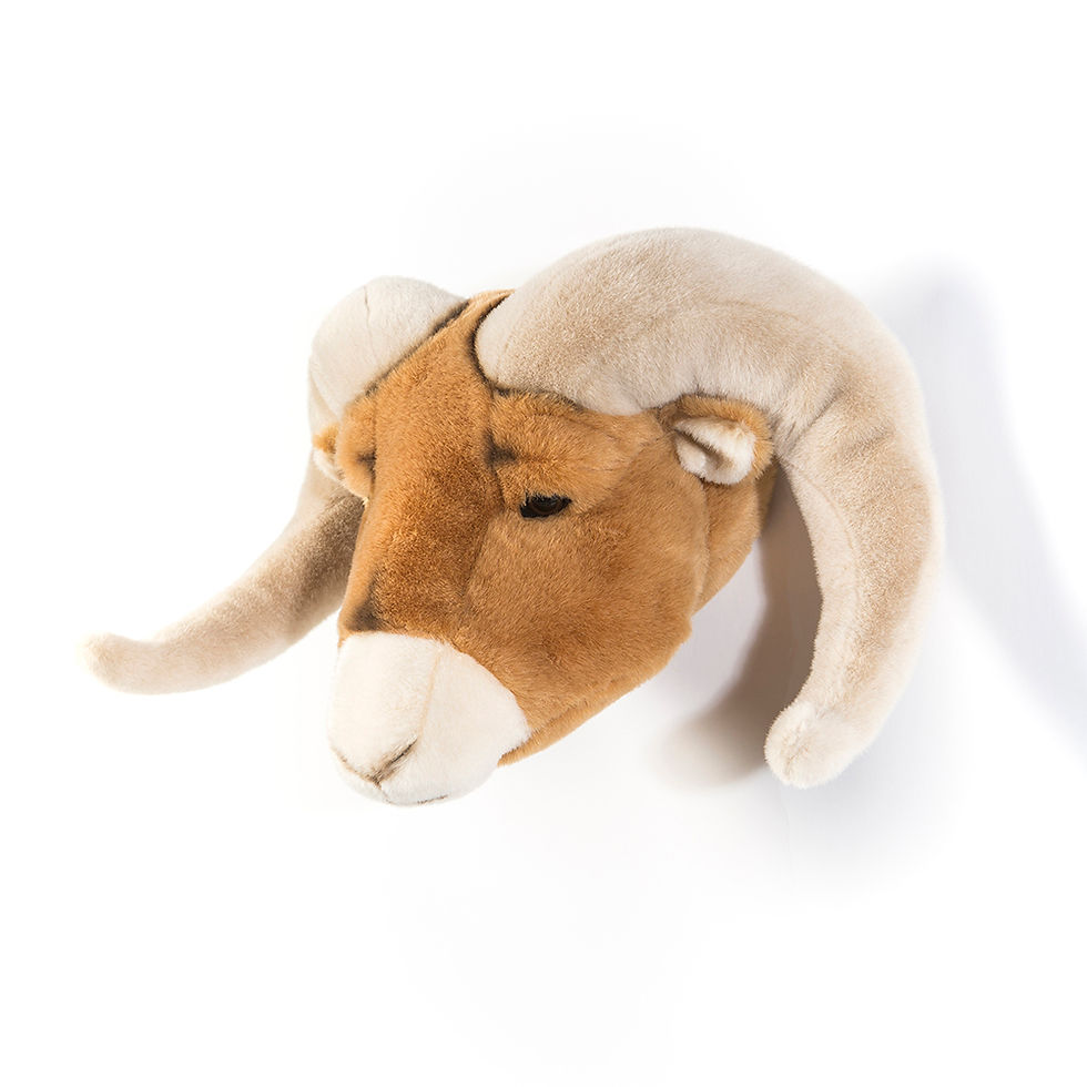 cabeças de parede, cabeças de pelúcia, cabeça parede pelúcia, cabeça wild and soft, cabeça animal, animal de parede, carneiro