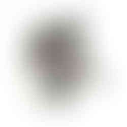 cabeças de parede, cabeças de pelúcia, cabeça parede pelúcia, cabeça wild and soft, cabeça animal, animal de parede, guaxinim