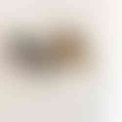 cabeças de parede, cabeças de pelúcia, cabeça parede pelúcia, cabeça wild and soft, cabeça animal, animal de parede, girafa