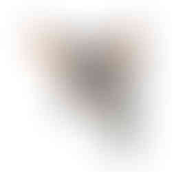 cabeças de parede, cabeças de pelúcia, cabeça parede pelúcia, cabeça wild and soft, cabeça animal, animal de parede, asno