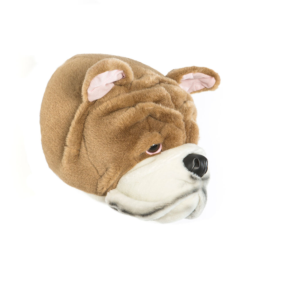 cabeças de parede, cabeças de pelúcia, cabeça parede pelúcia, cabeça wild and soft, cabeça animal, animal de parede, cachorro