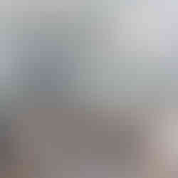 cabeças de parede, cabeças de pelúcia, cabeça parede pelúcia, cabeça wild and soft, cabeça animal, animal de parede, tigre