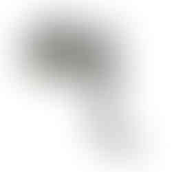 cabeças de parede, cabeças de pelúcia, cabeça parede pelúcia, cabeça wild and soft, cabeça animal, animal de parede, elefante