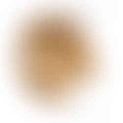 cabeças de parede, cabeças de pelúcia, cabeça parede pelúcia, cabeça wild and soft, cabeça animal, animal de parede, leão