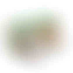 cabeças de pelúcia, cabeças de parede, animais de pelúcia, cabeças de animais, wild and soft, decoração infantil, quartinho