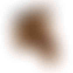 cabeças de parede, cabeças de pelúcia, cabeça parede pelúcia, cabeça wild and soft, cabeça animal, animal de parede, cavalo