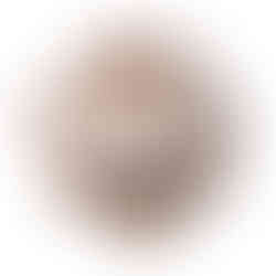 cabide alce, cabide decorativo, cabide parede, cabide pelúcia, cabide animal, cabide infantil, cabide criança, cabide leão