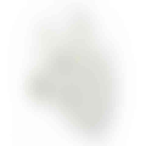 cabeças de parede, cabeças de pelúcia, cabeça parede pelúcia, cabeça wild and soft, cabeça animal, animal de parede, lhama