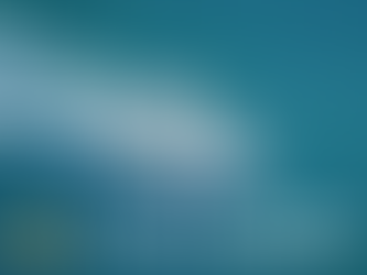 What Types of Items Can I Sell