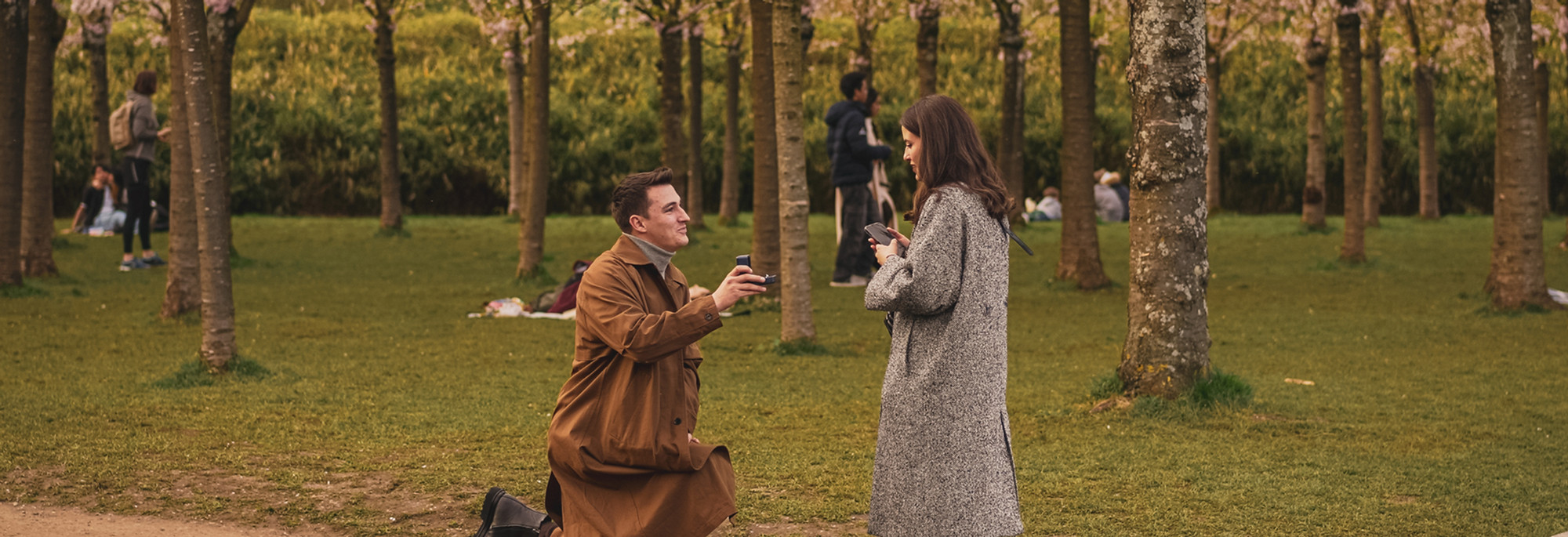 A man proposes to his girlfriend against the backdrop of Amsterdam's cherry blossom. 