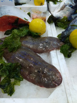 Sogliole