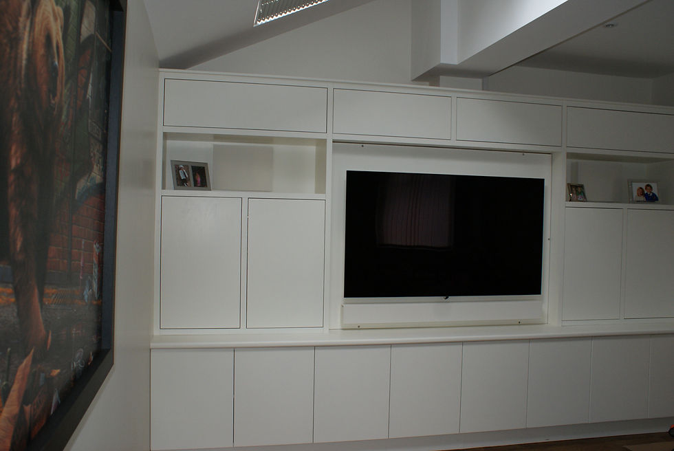 painted media and storage unit