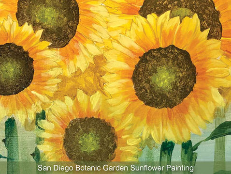 NEWS: What's up at SDBG?