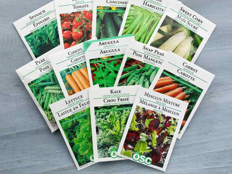 Plants that Produce - Get Ready for Fall Planting!