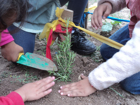 SDHS School Garden Grants Available