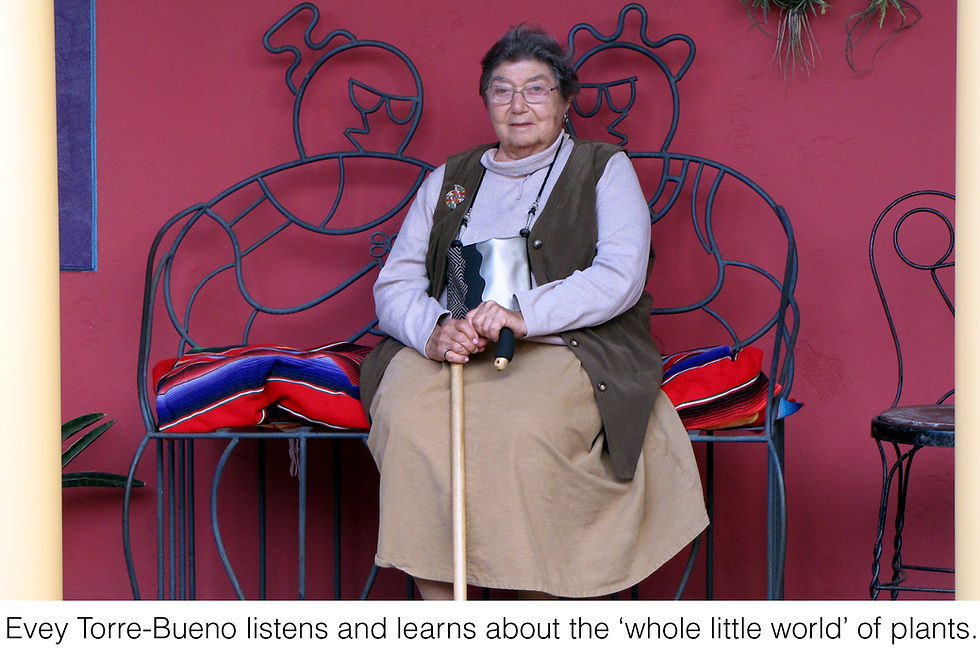 Evey Torre-Bueno listens and learns about the 'whole little world' of plants.