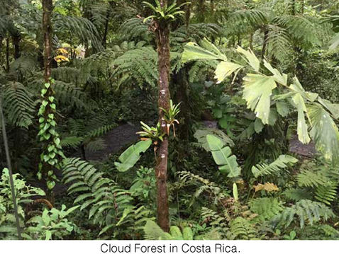 NEWS: Pacific Horticulture Tours