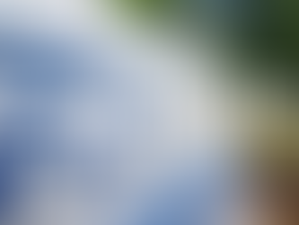 Dealing with FDA Form 483 and Warning Letter Findings