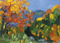 From Three Bear Mountain, Corner Brook