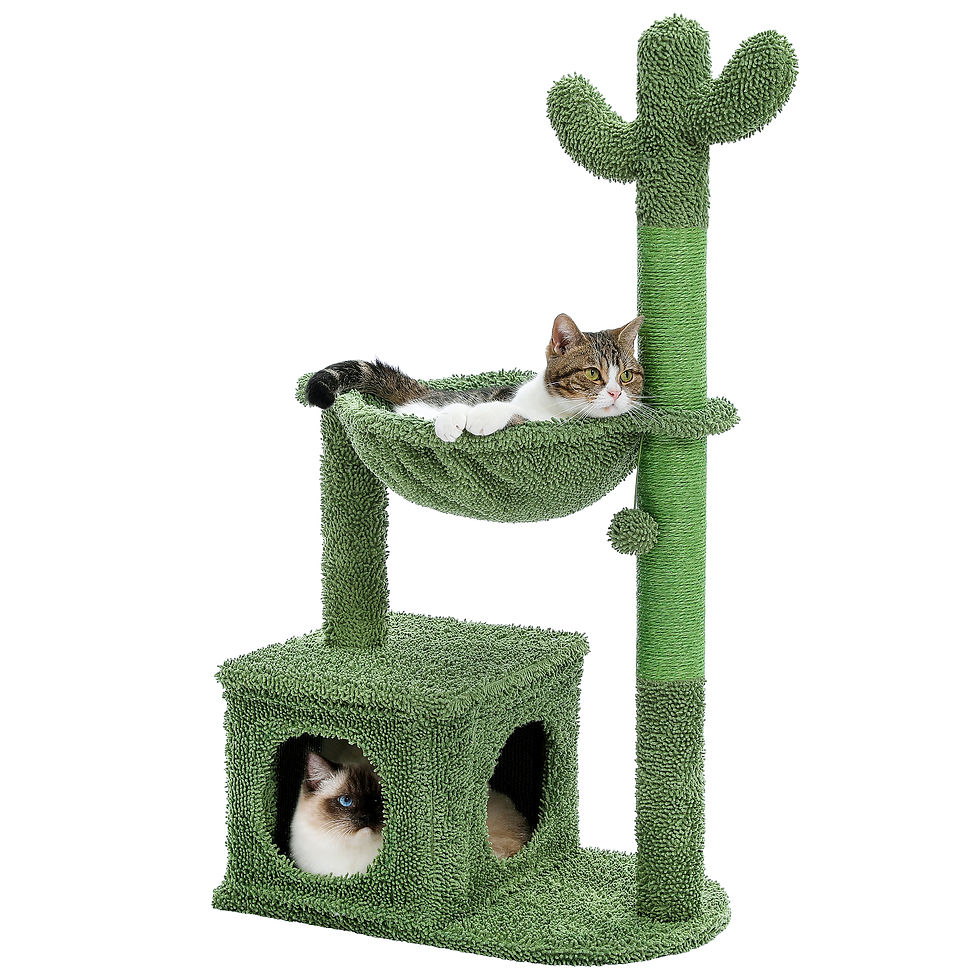 Thumbnail: Cactus Cat Tree with Lagre Condo, Hammock, Dangling Ball, Small Cat Tower, Cat S