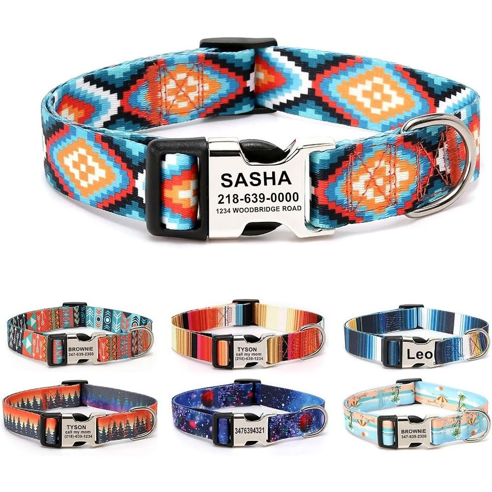 Thumbnail: Personalized Dog Collar with Metal Buckle Customize Cat Collar Quick Release Pup