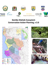 Gombe-Mahale ecosystem conservation acti