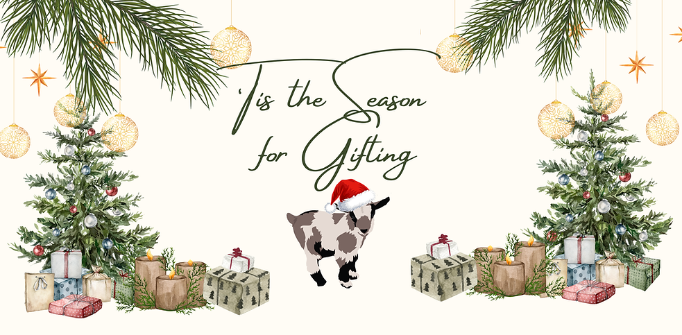 Christmas Gifting Website Banner Landscape.png