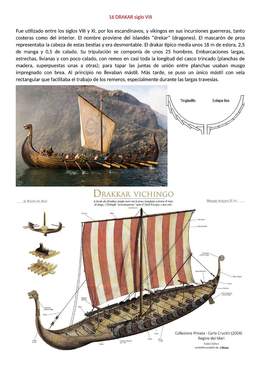 16 DRAKAR VIKINGO s VIII.jpg