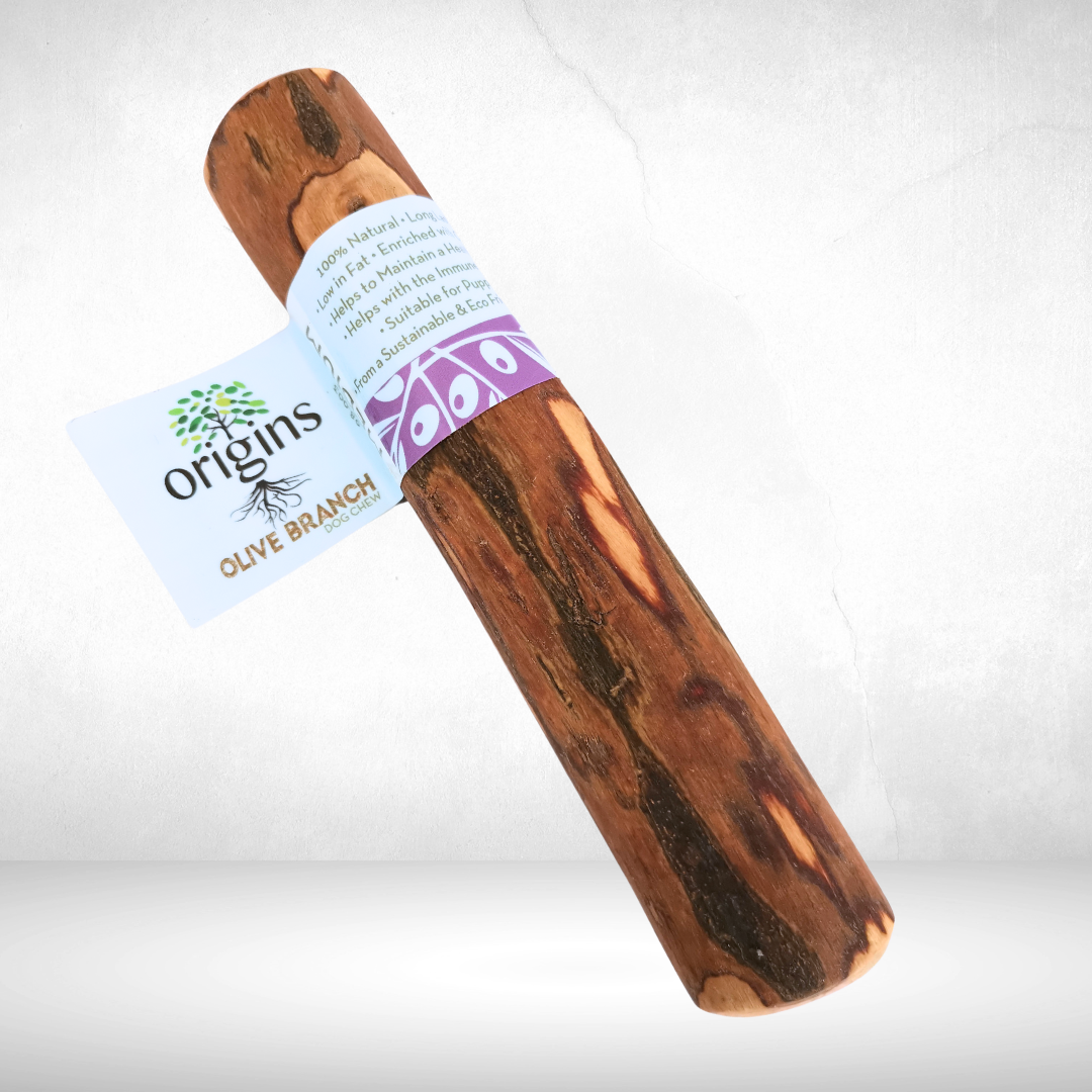 Medium Origins Olive Branch