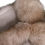 Thumbnail: Dolce & Gabbana Brown Frost Fox Fur Neck Warmer Winter Scarf