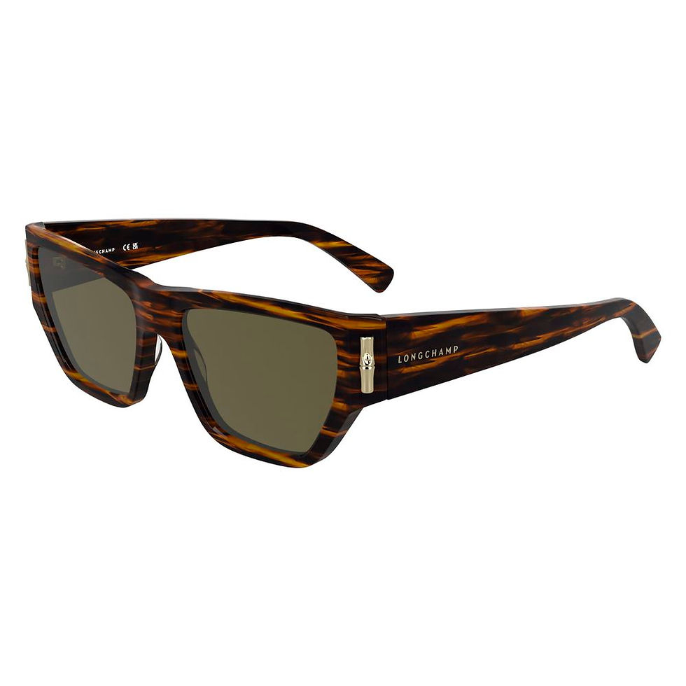 Thumbnail: Longchamp Brown Acetate Sunglasses