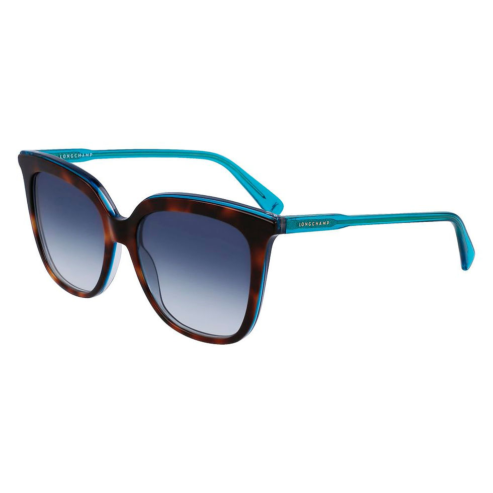 Thumbnail: Longchamp Brown Acetate Sunglasses