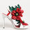 Thumbnail: Dolce & Gabbana White Red Floral Detailing Sandals Shoes