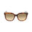 Thumbnail: Lacoste Brown Acetate Sunglasses
